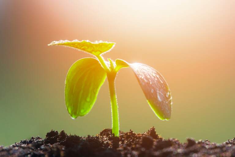 Part 2: “FAITHFUL WAITING ON THE PATHWAY OF LIFE”